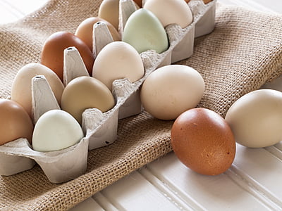 Chicken Eggs