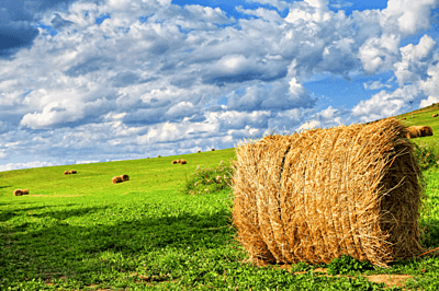 4x4 Round Bail grass Hay 600lb to 650lb 2023